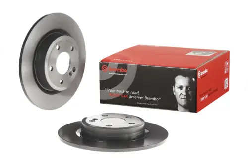 Brembo Brake Disc 08B34841 (Rear)