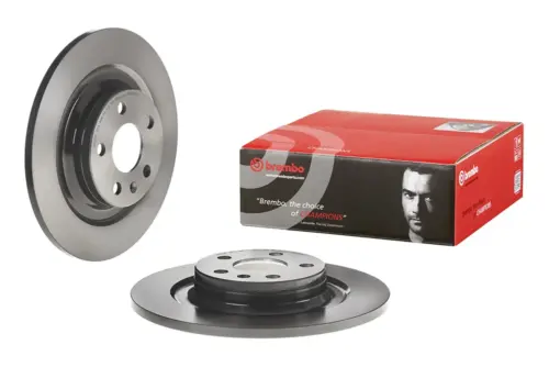 Brembo Brake Disc 08D24911 (Rear)