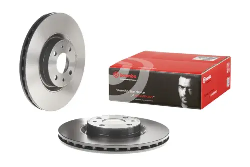 Brembo Brake Disc 09493911 (Front)