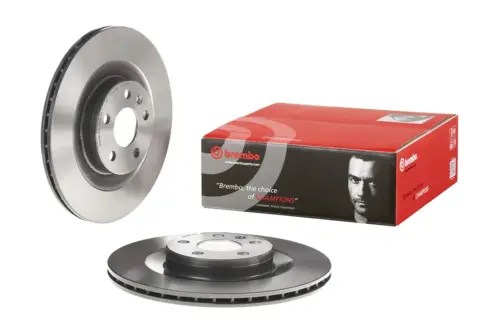 Brembo Brake Disc 09C93811 (Rear)