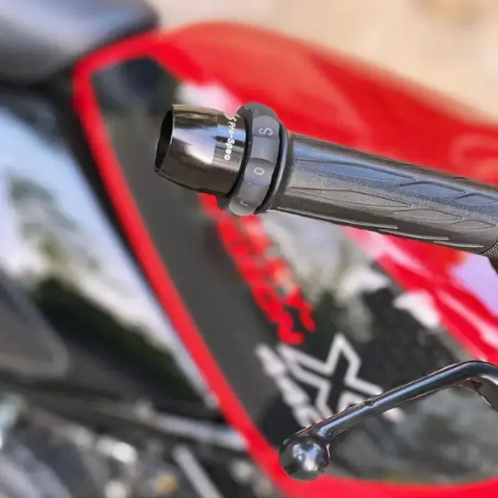 ECZ 034- Easy Cruz Harley Davidson 440 X